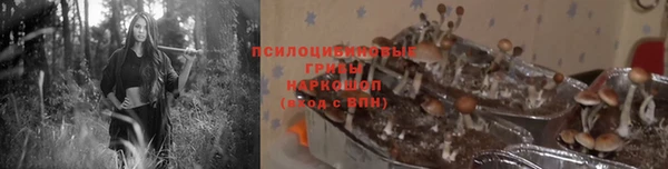 экстази Заволжск