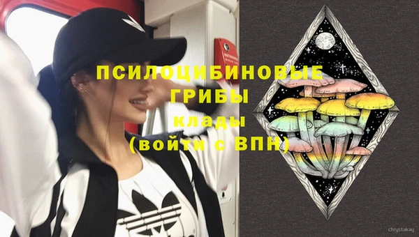 MDMA Заводоуковск