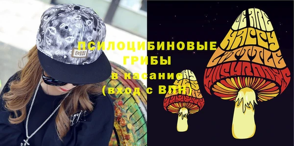 гашик Заволжье