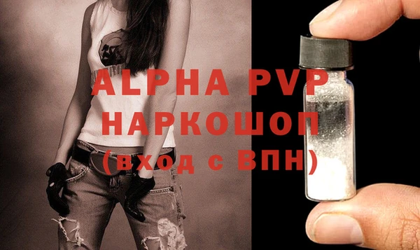 гашик Заволжье
