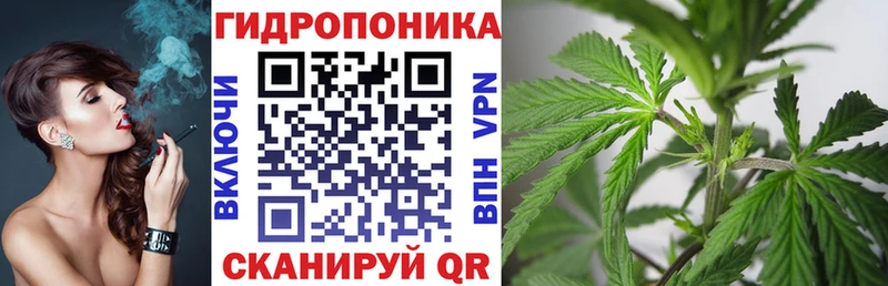 Конопля гибрид  Купить  Дальнегорск 